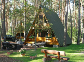 Chalet Nepumuk-1 by Interhome